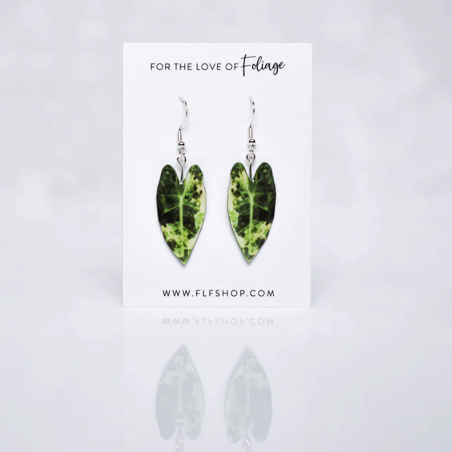 Alocasia Frydek Variegated Houseplant Earrings 