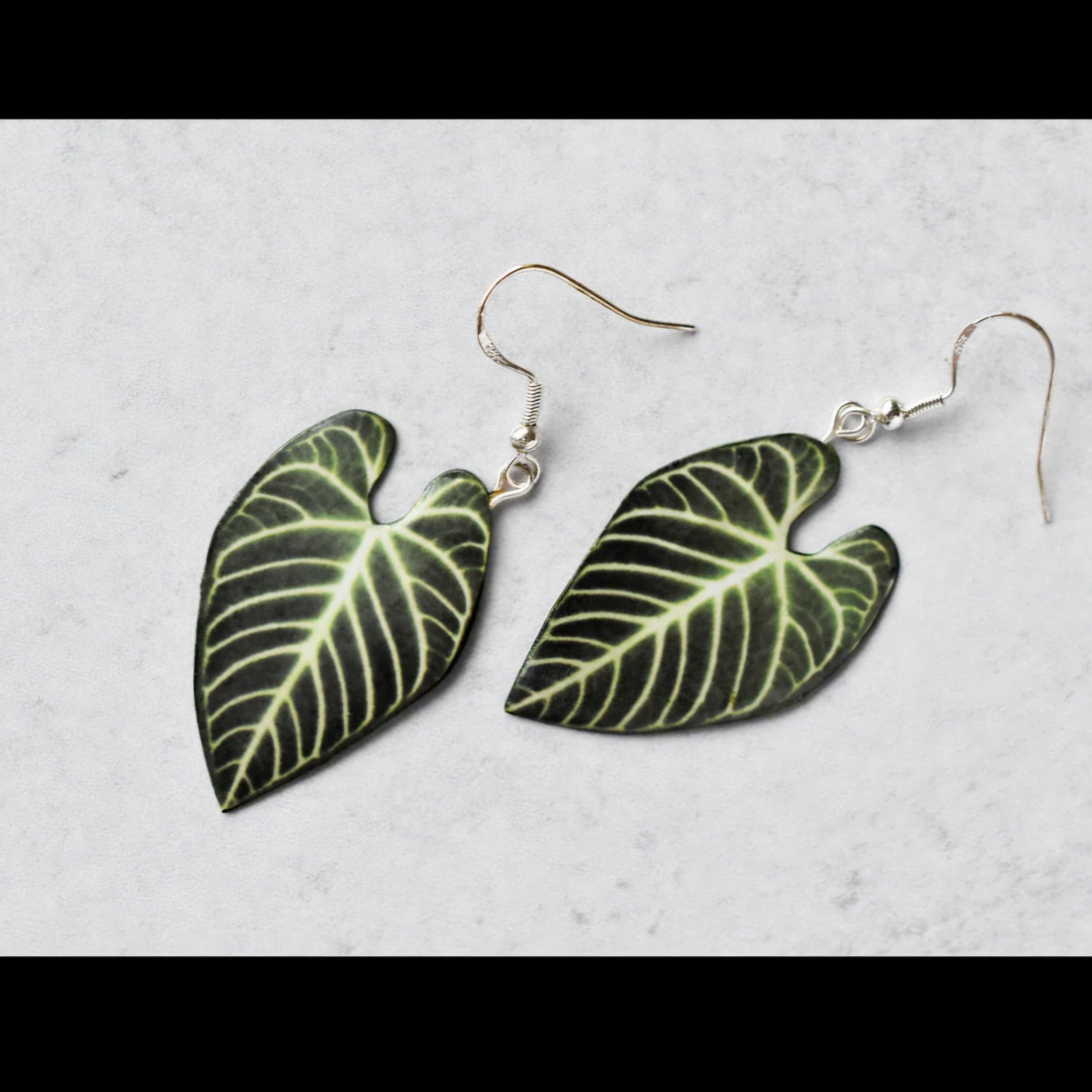 Anthurium Regale Houseplant Earrings