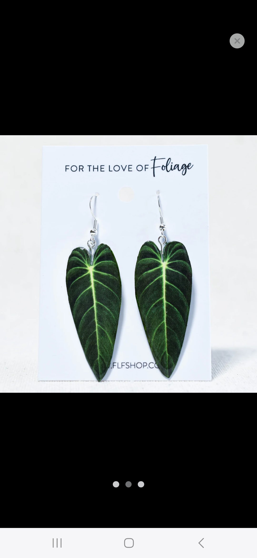 Philodendron Melanochrysum Houseplant Earrings