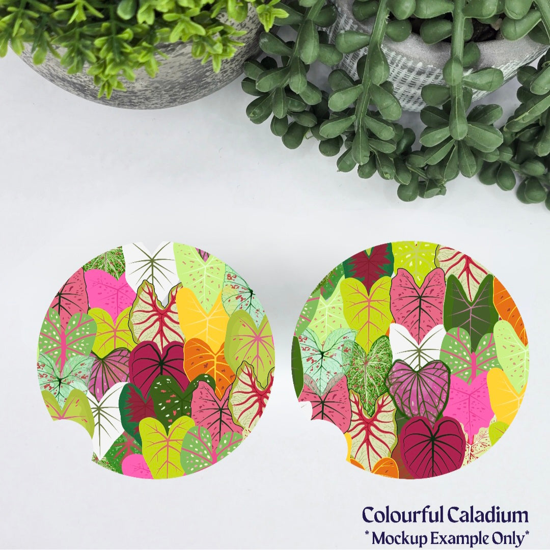 Colourful Caladium Houseplants Car Coasters - Set of 2