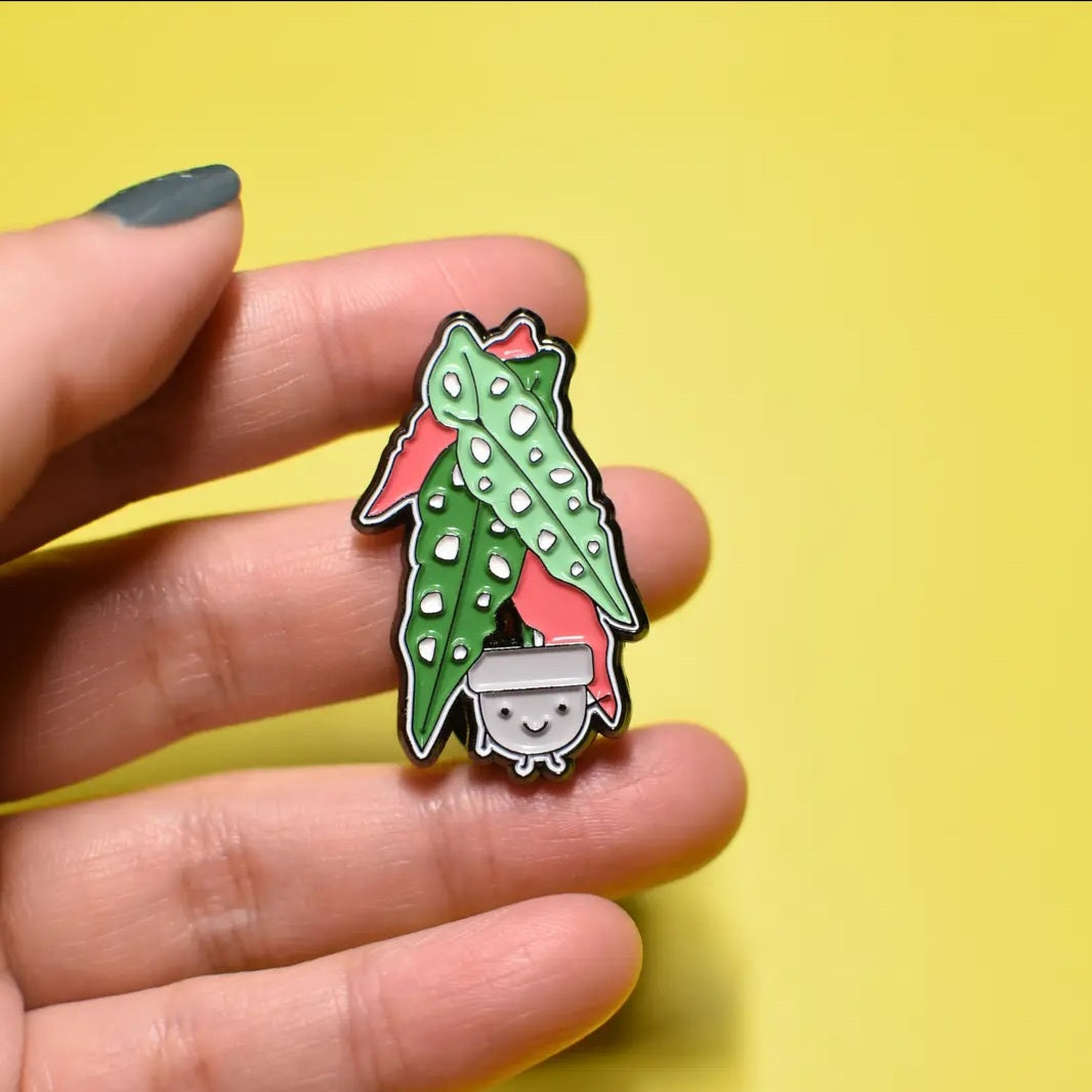 Begonia Maculata Plant Buddies Houseplant Enamel Pin – My Plantasy