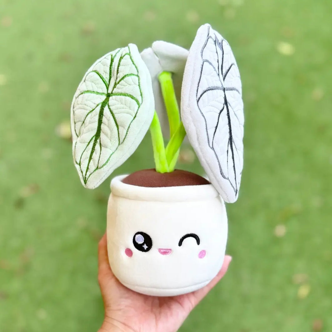 ⭐️NEW⭐️MEDIUM Plushie Kawaii Alocasia Silver Dragon