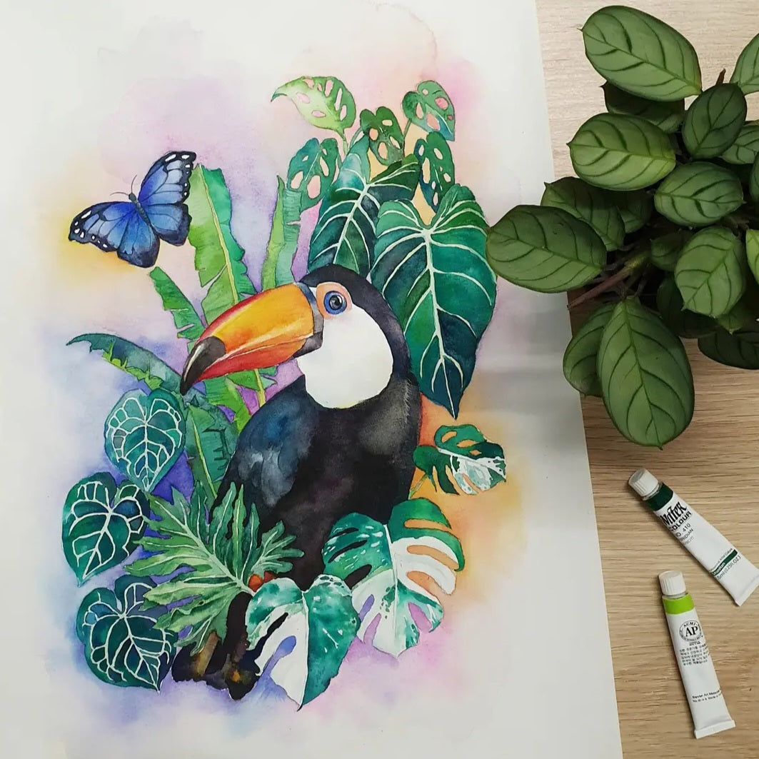 Toucan with Rare Houseplants, Anthurium, Monstera Albo, Watercolour Art Print / Wall Unframed