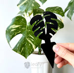 The Leafy Brand Monstera Leaf Sticky Fly | Gnat Traps - 12 Pack - BLACK