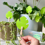 Ubloomed Green Leaf Sticky Fly | Gnat | Pest Traps - 10 Pack