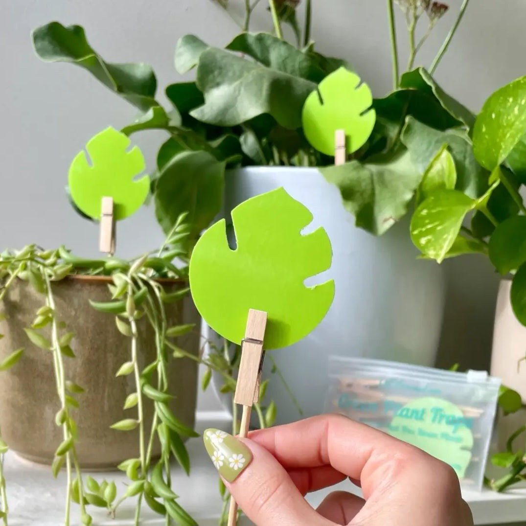 Ubloomed Green Leaf Sticky Fly | Gnat | Pest Traps - 10 Pack