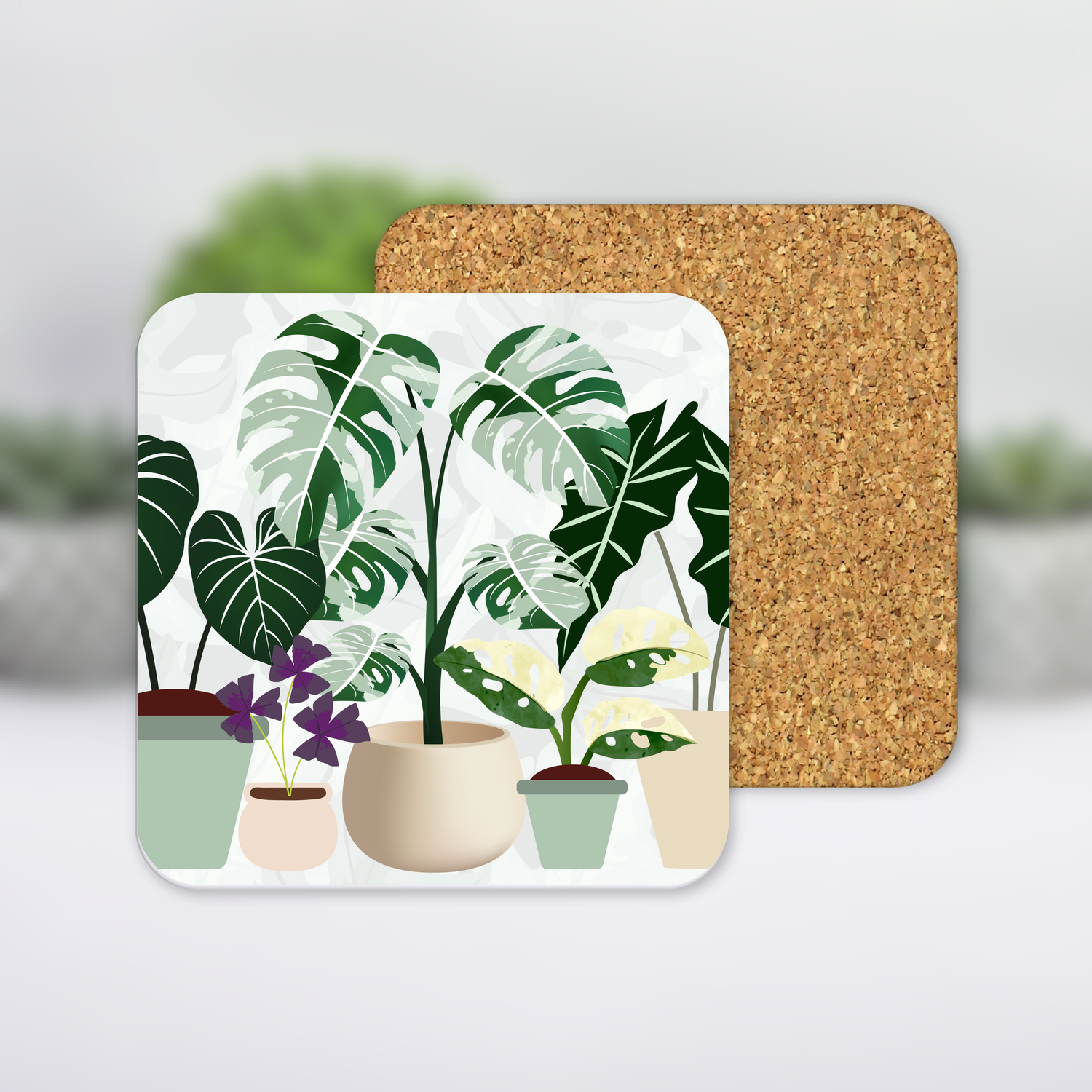 Rare Variegated plants Square Houseplant MDF Coaster with cork backing