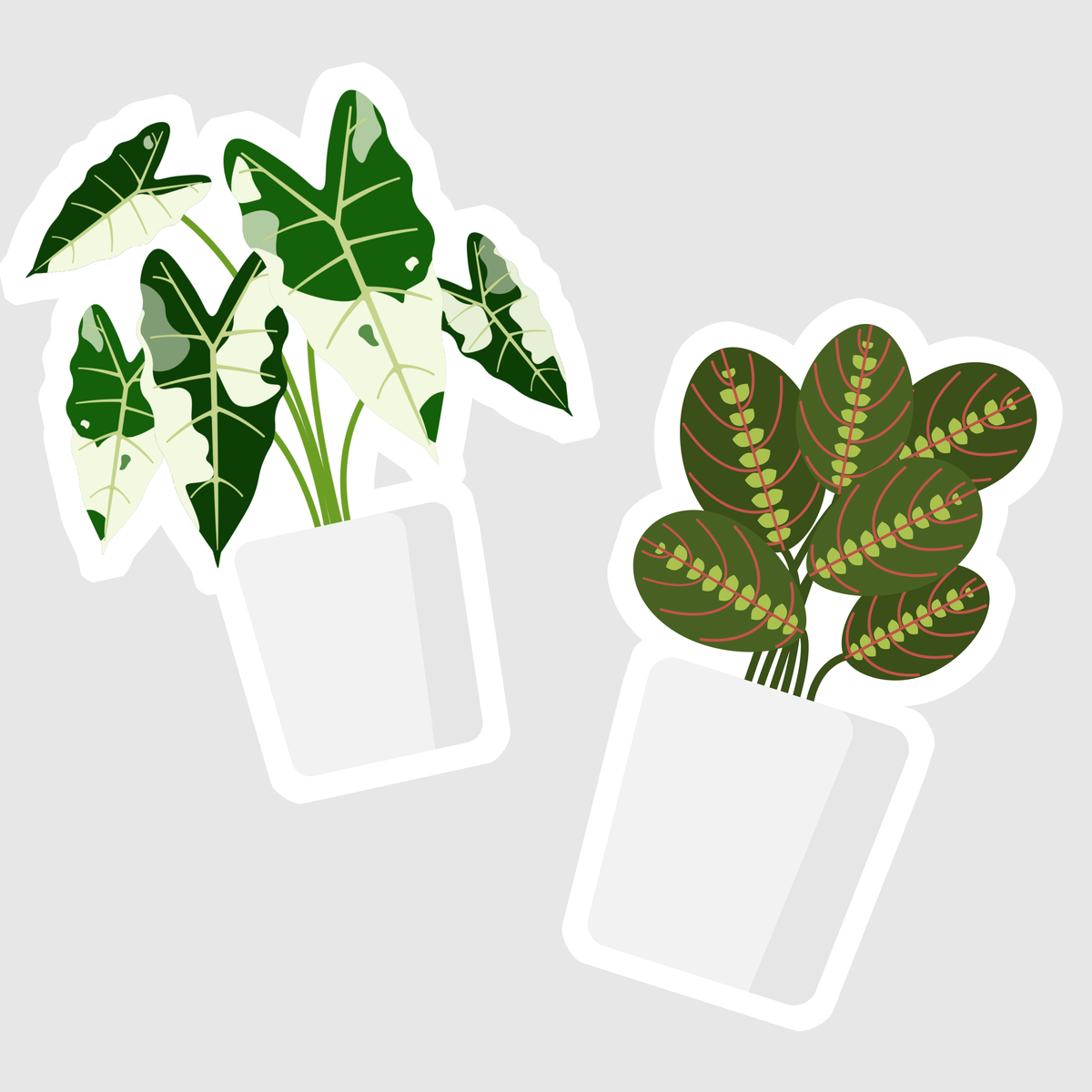 New Plant Parent Starter Pack |Rare Houseplants Sticker Pack | 7 White Vinyl Stickers