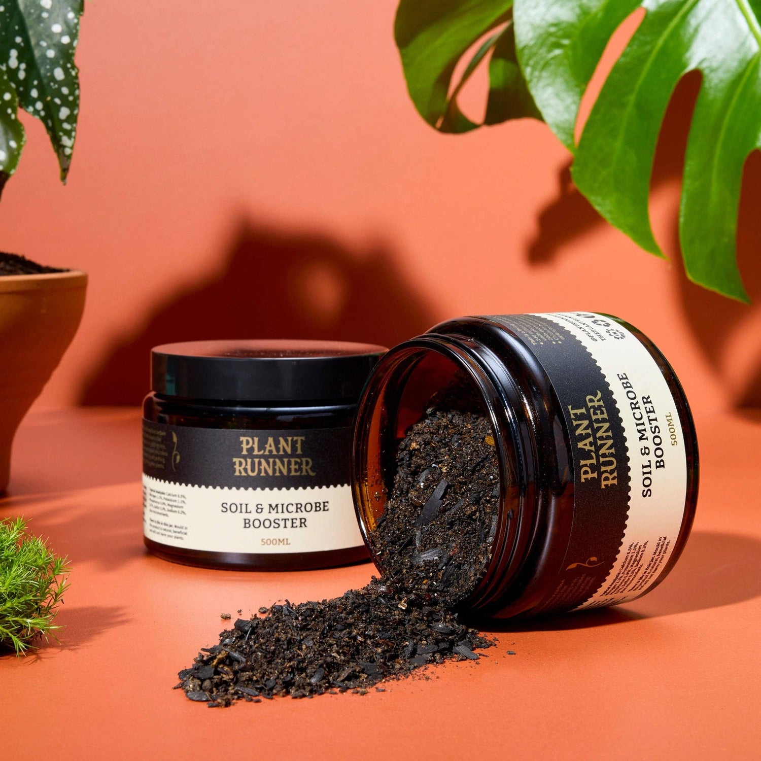 Frass & Biochar Soil Booster for Indoor Plants