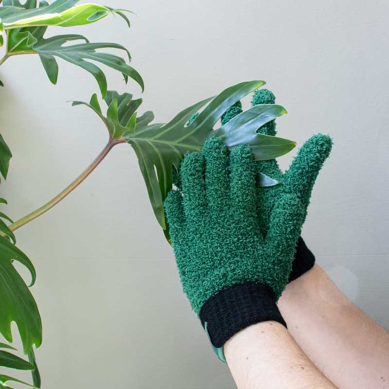 Leaf Love Glove Microfibre Leaf Cleaning Gloves for Houseplants