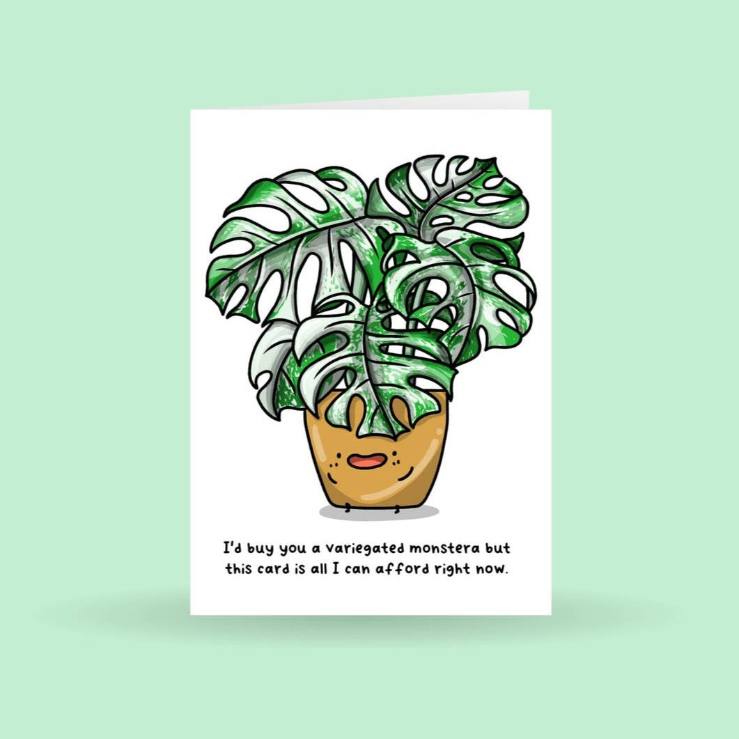 Monstera albo Variegated houseplant birthday greeting card 