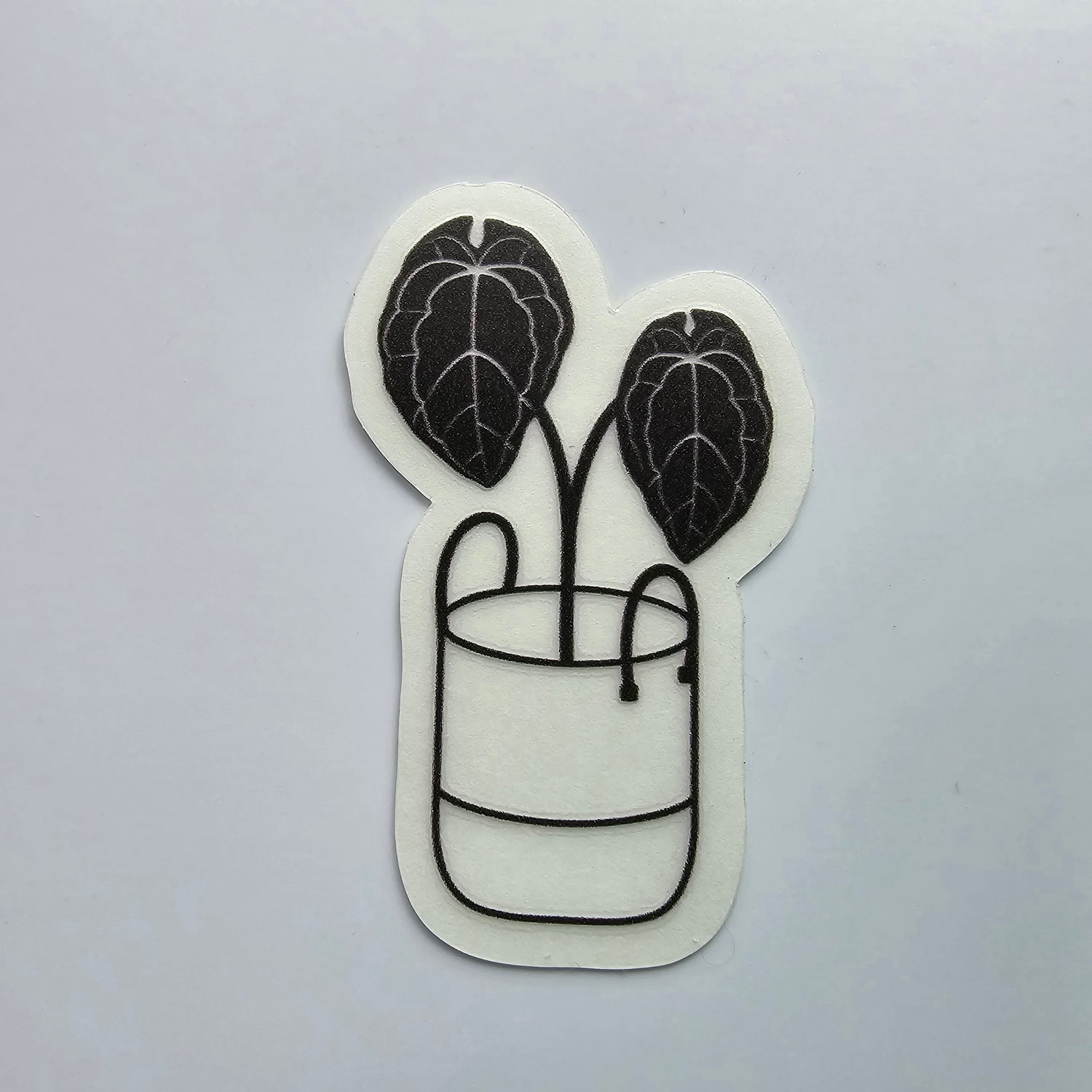 Black Silhouette Anthurium Forgetii Clear Vinyl Sticker