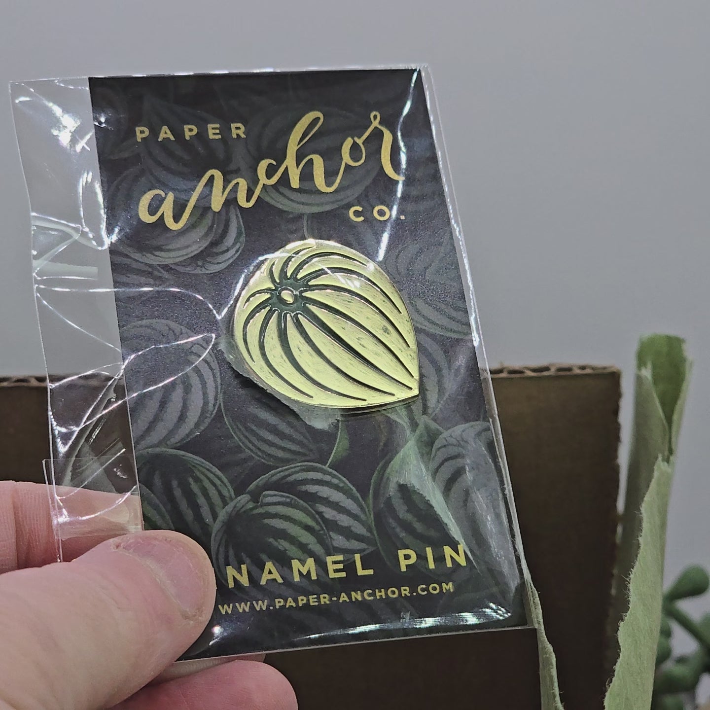 Watermelon Peperomia 18k Gold Plated Lapel Pin