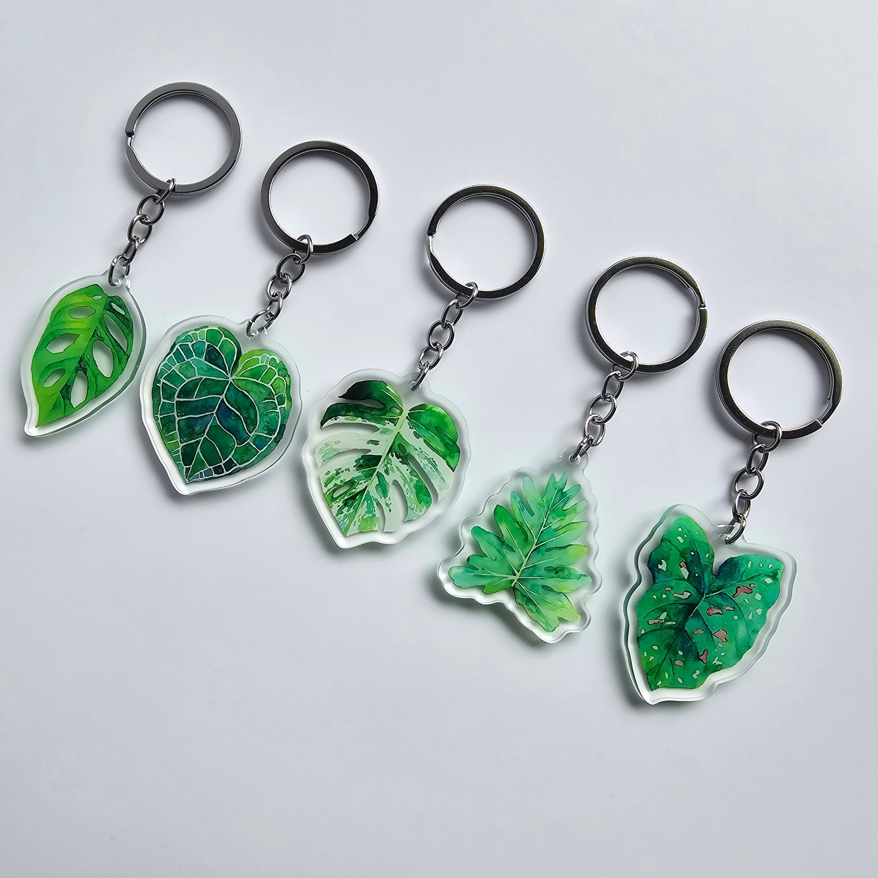 Acrylic watercolour houseplant keyrings