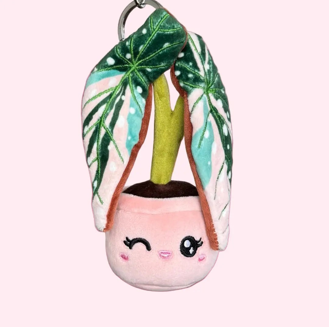 ⭐️PREORDER⭐️Kawaii Begonia Maculata Variegated Plushie Keyring