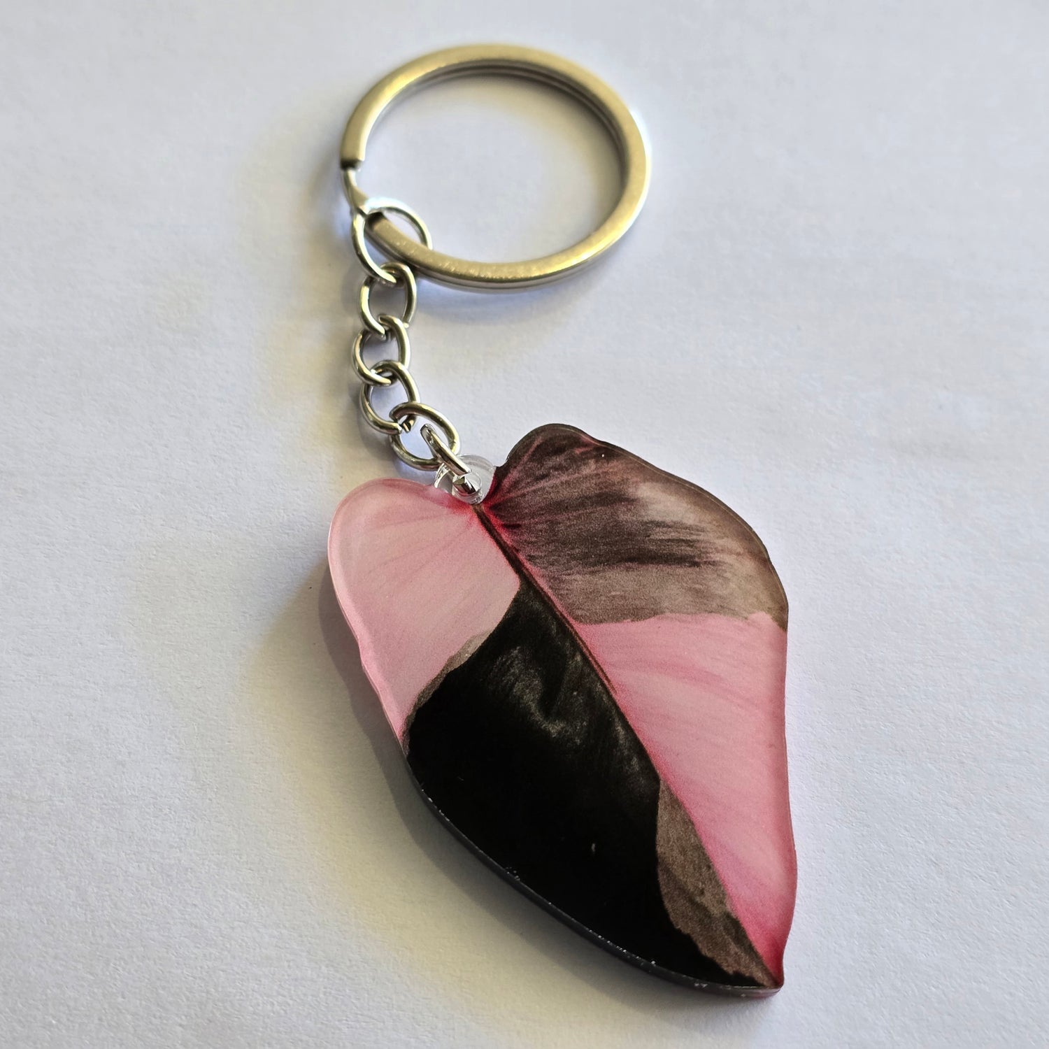 Philodendron Pink Princess 