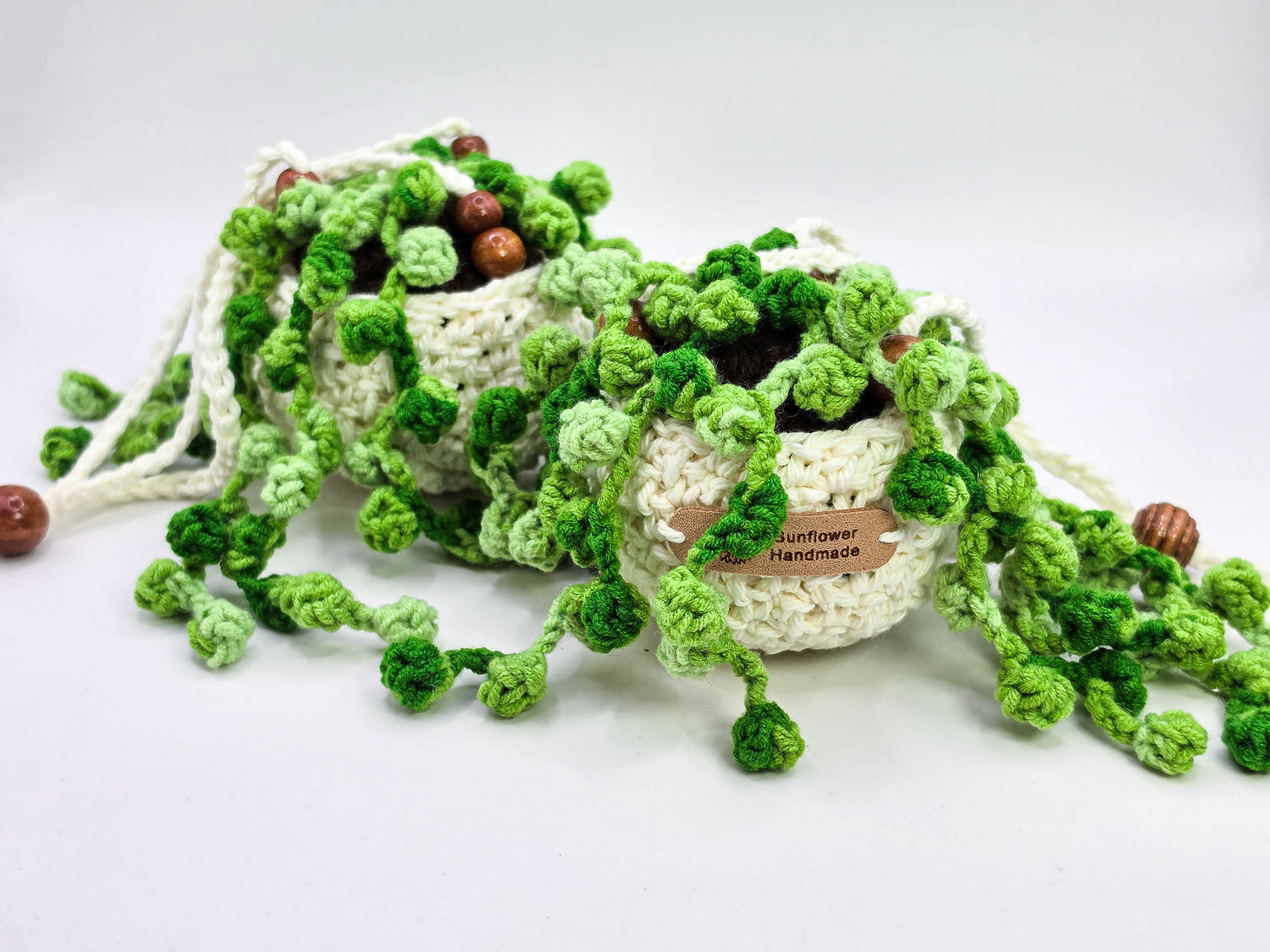 Mini Crochet Hanging Potted Plants | Handmade | 2 Avail