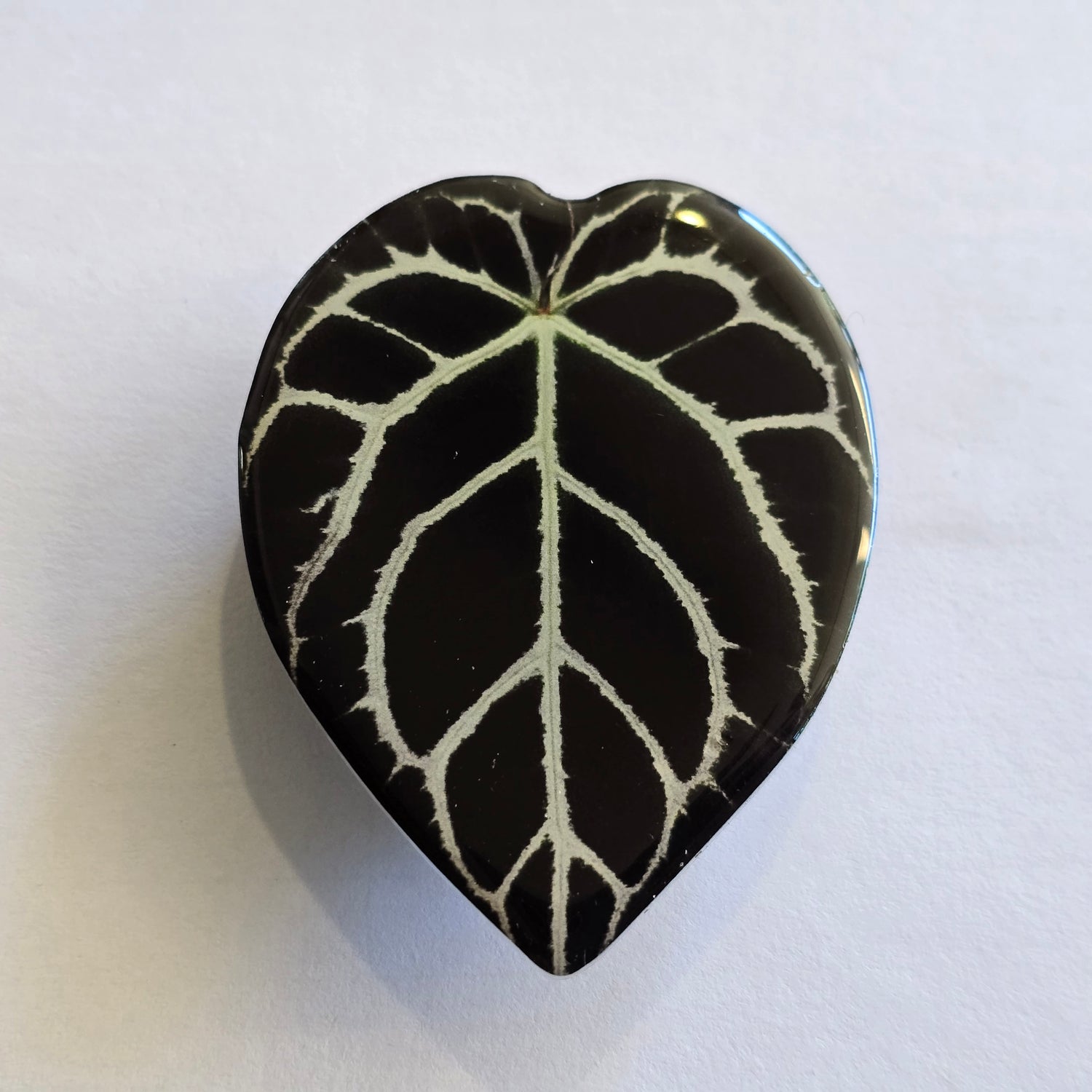 Anthurium Dark Leaf Houseplant Mobile Phone Grip